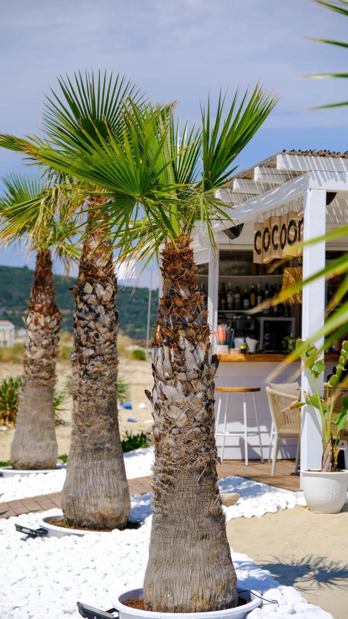 Cocoon Hotel-Beach Bar Sarti Exterior foto